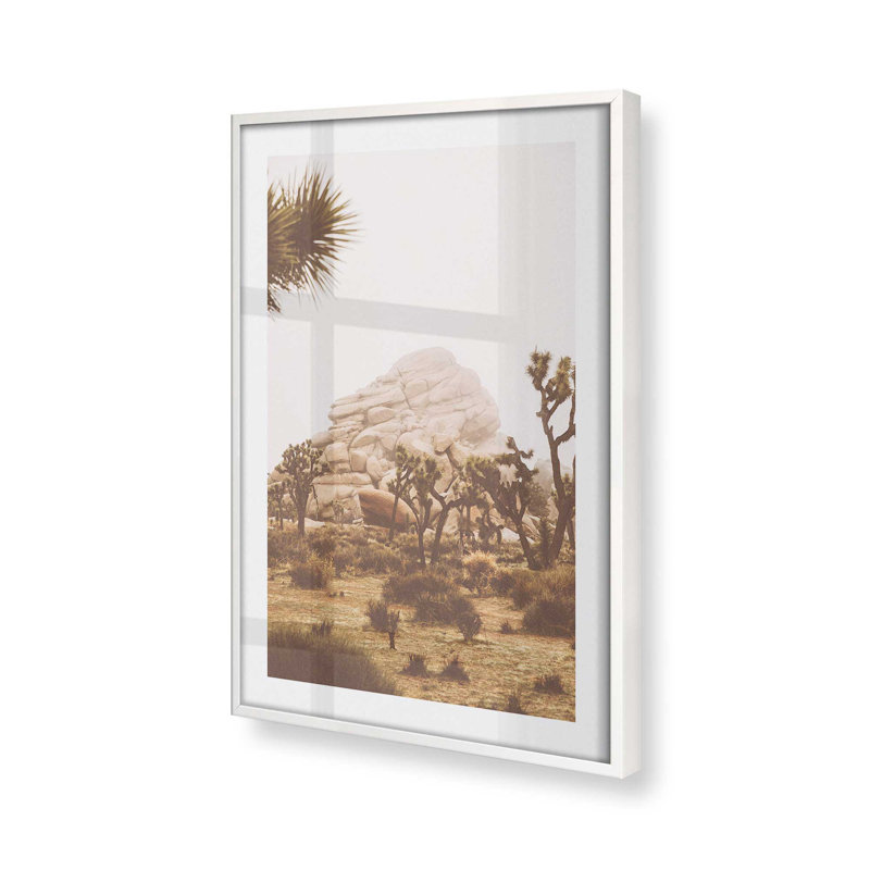 Joshua Tree Vista Print, dans un cadre,, H 17 po x l 13 po x P 1,25 po, Cadre opaque blanc