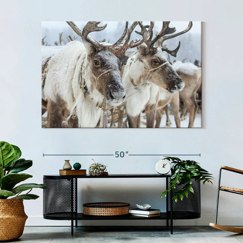 Snow Reindeer, 34" H x 51" W