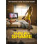 Walk of Shame-1312626952