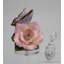 Papillon avec veilleuse paix rose