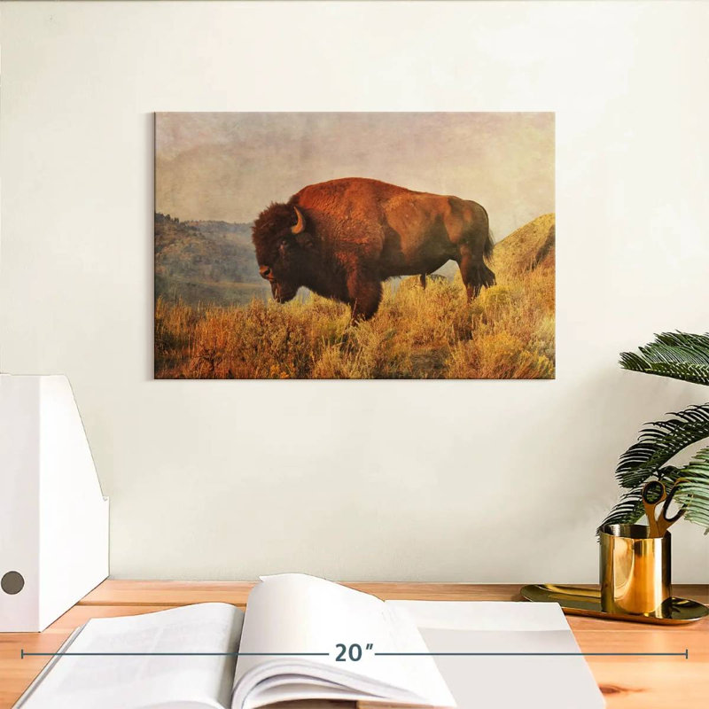 Bison sauvage sur le terrain, H 8 po x l 12 po