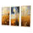 Cadre naturel flottant sélectionné