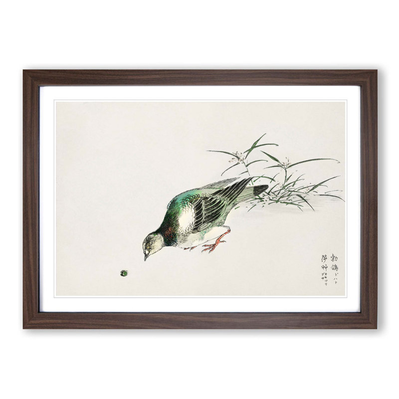 Eastern Turtle Dove by Numata Kashu - Picture Frame Painting Print, 48cm H x 65cm W x 2cm D, Walnut Framed