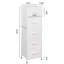 Commode verticale 5 tiroirs Ojaswi-906908906