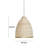 1 - Light Pendant