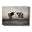 «Longhorns» par Debra Van Swearingen, art mural sur toile, 26 po x 18 po-1438239558
