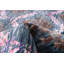 Tapis unique en laine noué à la main bleu marine / rose / brun nouvel âge 7 pi 9 po x 10 pi 4 po Wanette