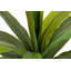 21cm Faux Banana Leaf Plant in Pot