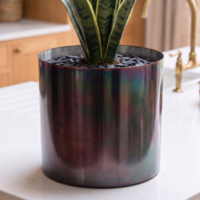 Indoor Cachepot