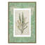«Jade Botanical II Print» par Carol Robinson-2480866-2480881-2480882