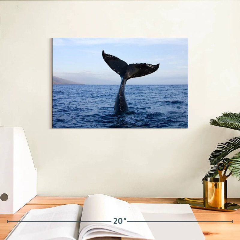 Brampt Whale Watching, 8" H x 12" W