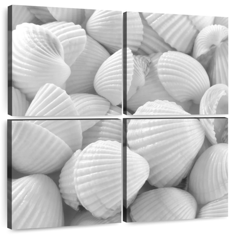 Aletra White Shells, 18" H x 18" W