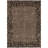 Machine Washable Indoor/Outdoor Claudian ACN1230 Brown Rug-103710749