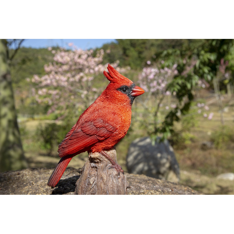 Cardinal chantant activé par le mouvement debout sur une souche