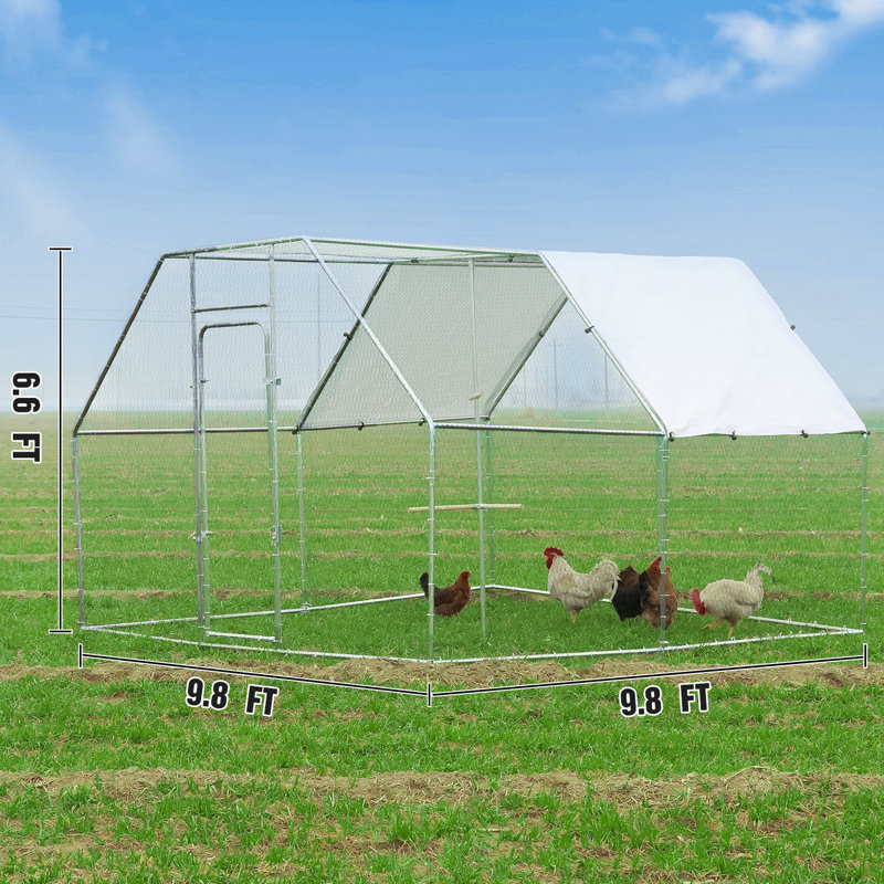 Rockfield Walk In Chicken Run Coop with Waterproof Cover, 78.74" H x 118.11" W x 118.11" D