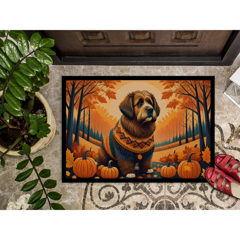 Tapis d'intérieur antidérapant Noboyuki Briard, L 18 po x L 27 po