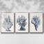Blue Antique Coral I - ensemble de 3 reproductions de photos sur toile-97757404-97757405