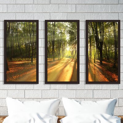 Fall Landscape Trees - 3 Piece Picture Frame Photograph Print Set on Acrylic -  Picture Perfect International, 704-2544-1224