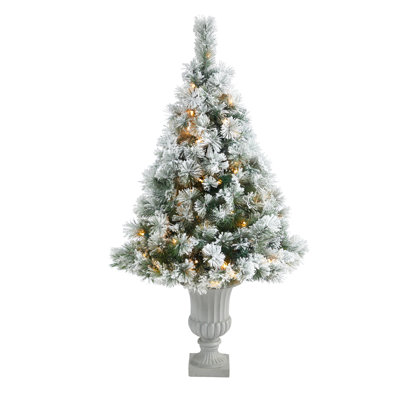 Arbre de Noël avec lumières et pin vert Oregon