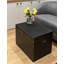 Marrufo 2 Piece Accent Trunk Set