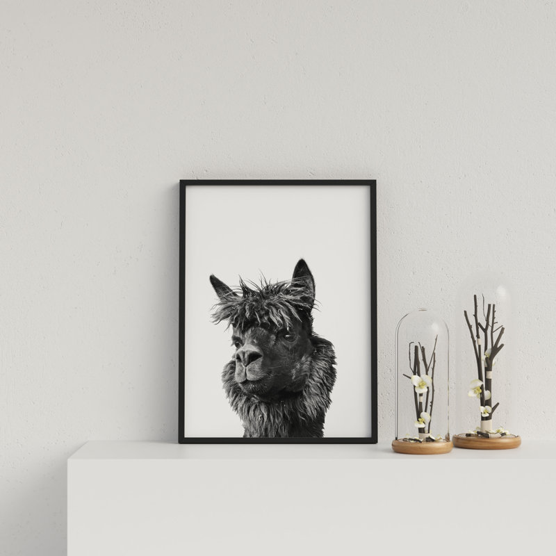 Llama On White Background by Vouvart - Single Picture Frame Print