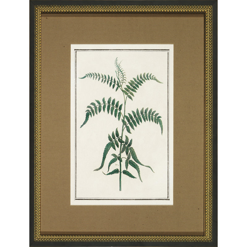 Vintage Botanical Sketch I Print