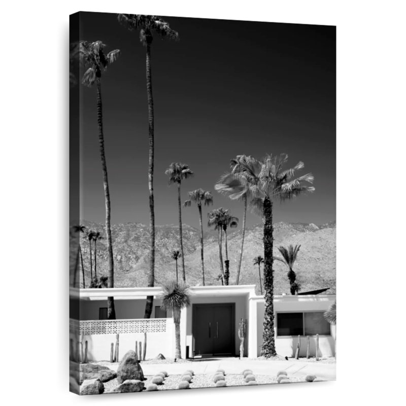 Lilie Black California Palm Springs II, H 12 po x l 8 po