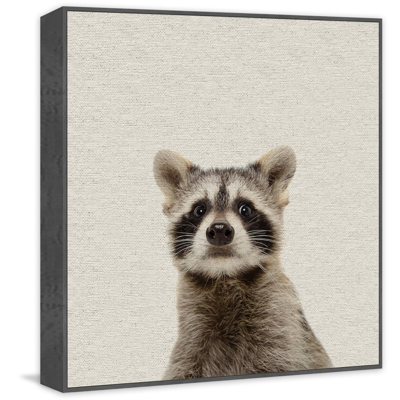 Shocked Raccoon - Drawing on Canvas, 81cm H x 81cm W