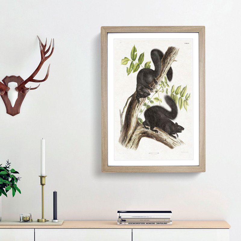 Black Squirrels by J.W. Audubon - Picture Frame Art Print, Oak Framed, 36cm H x 27cm W x 2cm D