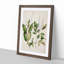 Kamahi Tawhero Flowers by Sarah Featon - Picture Frame Graphic Art Print-55642038-55642035