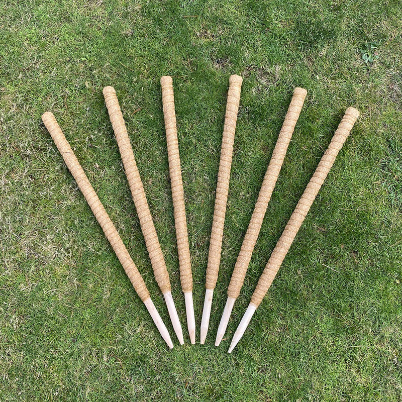 Ceriyah Wood Plant Support