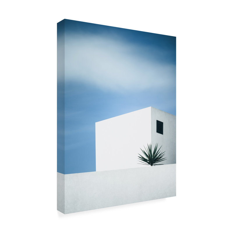 Palmier sur toile, L 18 po x H 24 po