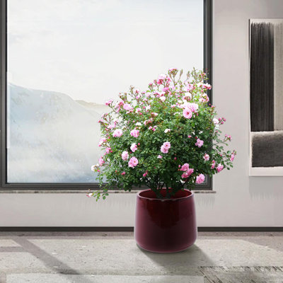 Pot de fleurs en céramique
