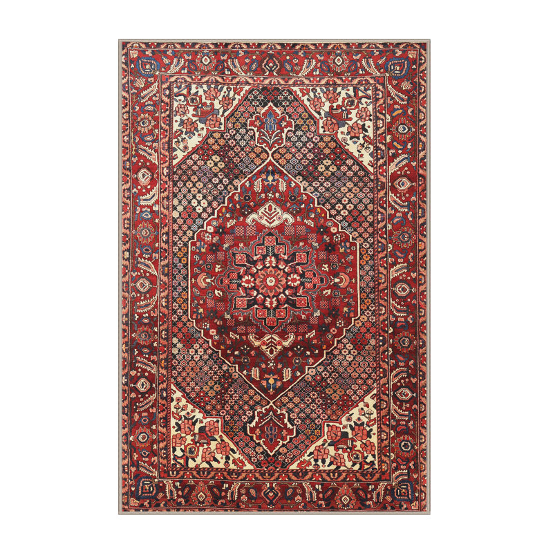 Tapis décoratif rouge de style sud-ouest Chancery, Rectangle 6 pi x 9 pi