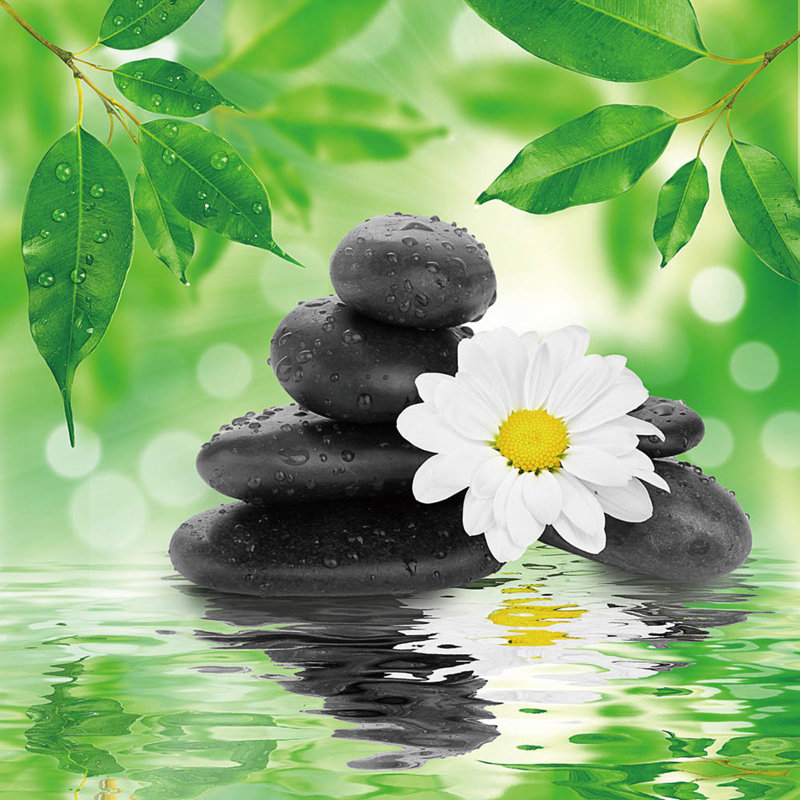 " Peaceful Reflections II "