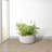 Dovenby Concrete Pot Planter-618394664-637032454