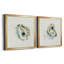 «Old Salt Shell I», ensemble de 2 reproductions d'art encadrées-2126001041-2048829126-2118285762