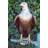 Very Detailed Eagle Standing On A Tree Branch Bronze Statue  24" X 28" X 66"H