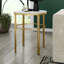 Cineraria End Table-1202991891