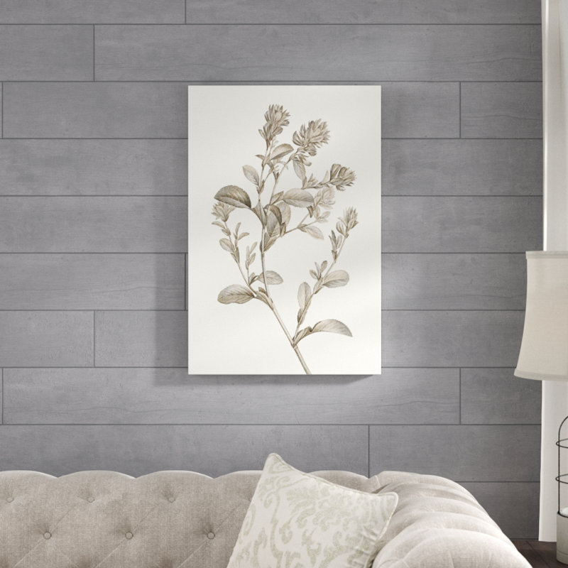 Neutral Botanical Study II by Vision Studio - Painting Print, 122cm H x 81cm W, Wrapped Canvas
