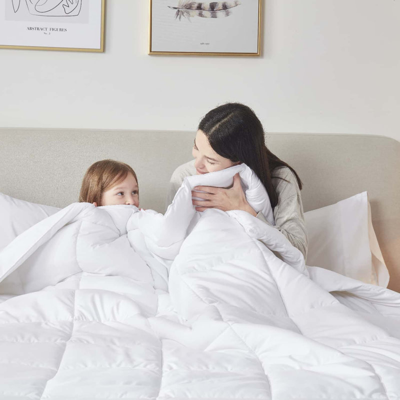 All Season Solid Down Alternative Comforter, California King Comforter , White