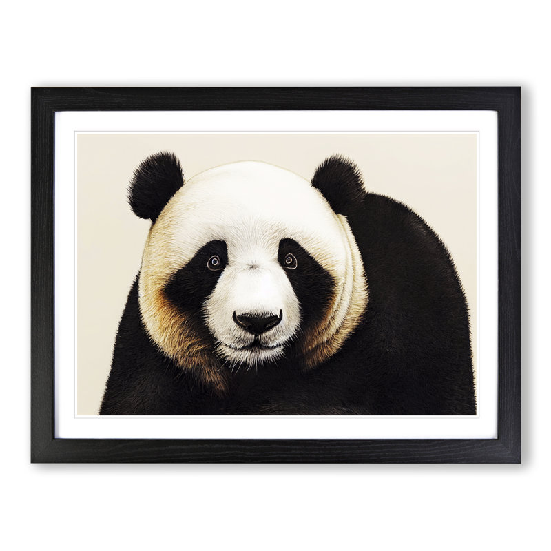 Fine Panda - Single Picture Frame Print, Black Framed, 46cm H x 64cm W x 2cm D