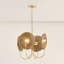 Lustre ASHBY