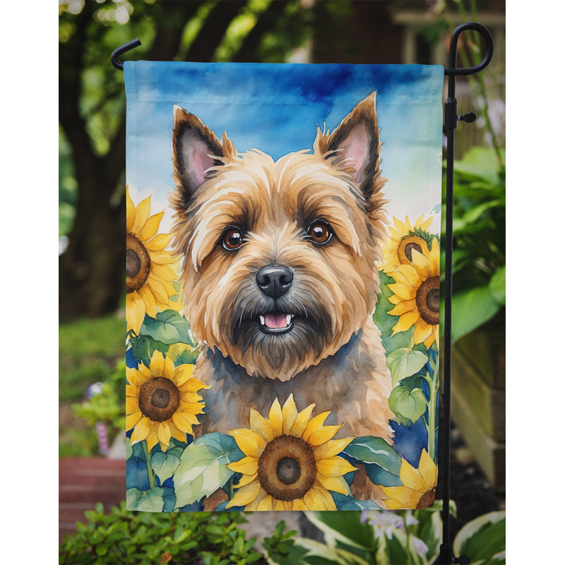 Lévrier irlandais dans le drapeau du jardin de tournesols, Cairn terrier