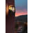 Phung Outdoor Wall Sconce in Black-1618720353