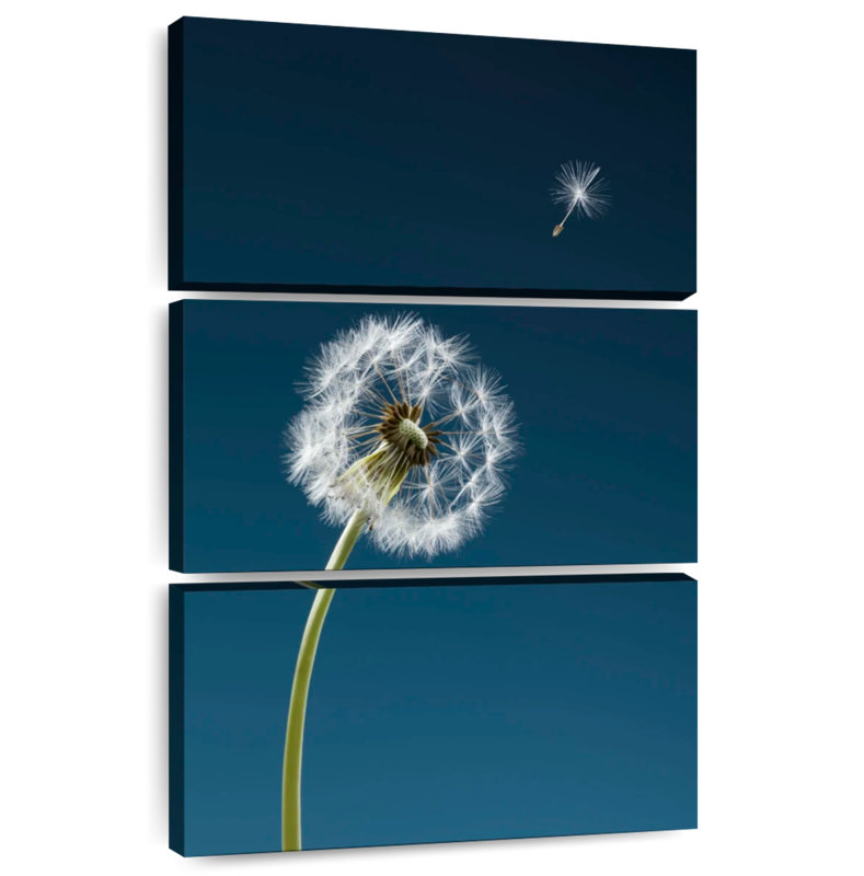 Harnek One Dandelion Seed, 50" H x 32" W