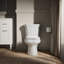 WellworthÂ® 1.28 GPF Water Efficient Round Two-Piece Toilet (Seat Not Included)-2071751307-2041559919