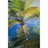 Eli Room Divider Privacy Screen Double Sided Digital Print-1194814423