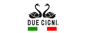 Due Cigni Americas Logo