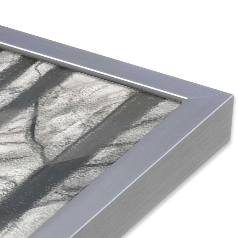 «Secret Tract I» par Michael Willett, reproduction d'art, H 12 po x l 18 po, Silver